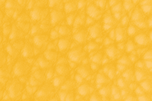 Golden Sun