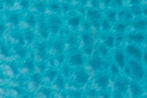 Bermuda